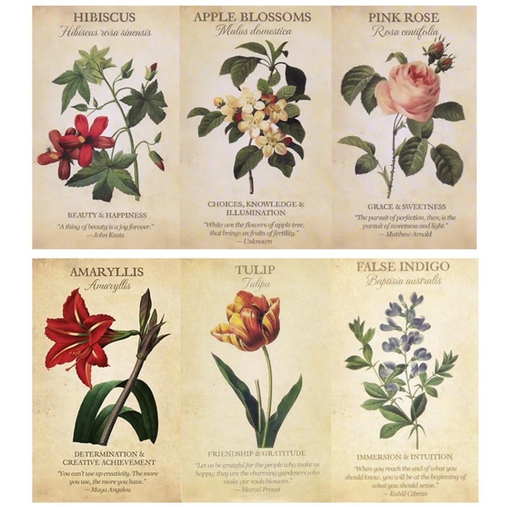 Botanical Inspiration Oracle c - đánh giá và giá Board Game Inspiration