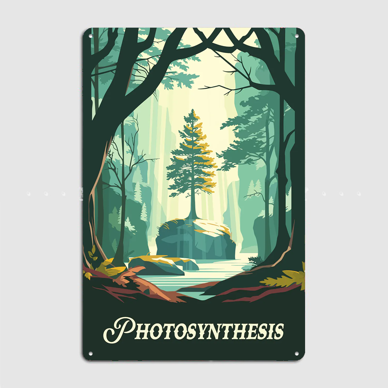 Photosynthesis Board Game Insp - đánh giá và giá Board Game Inspiration